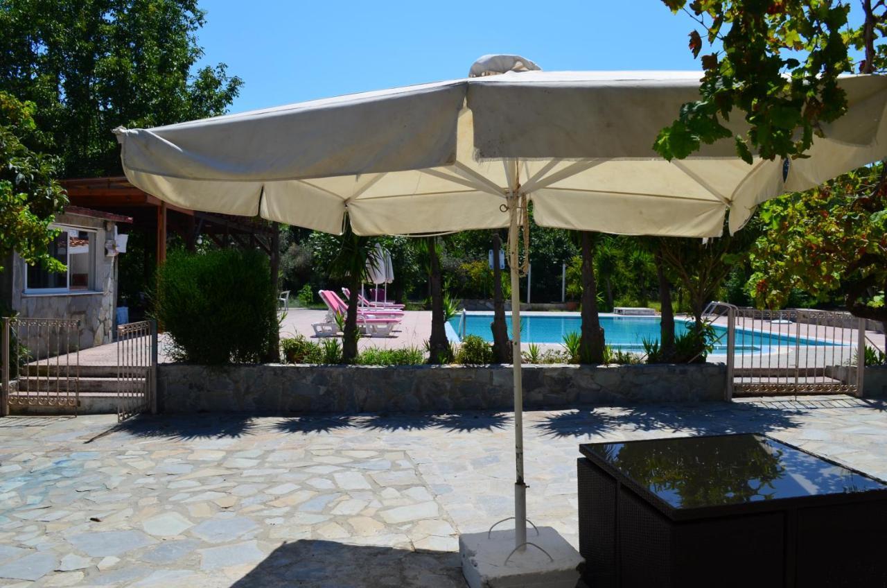 Artemis - Pool And Garden Апартаменты Коскину