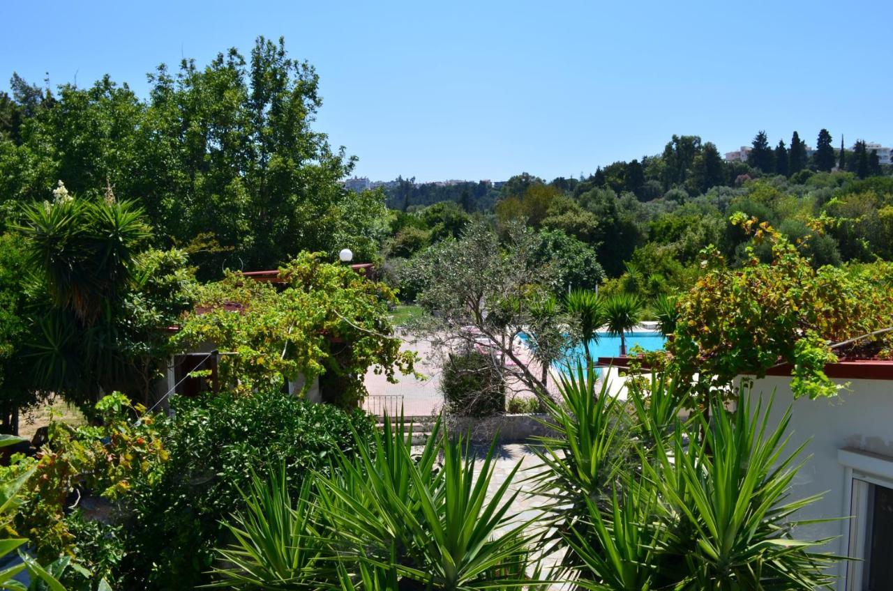 Artemis - Pool And Garden Κοσκινού