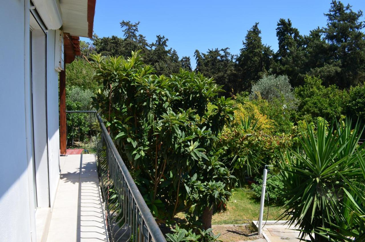 Artemis - Pool And Garden Διαμέρισμα Κοσκινού